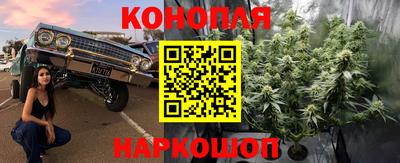 прущие грибы Кимры