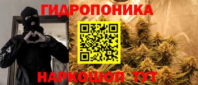прущие грибы Кимры