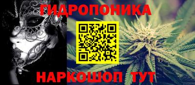 прущие грибы Кимры