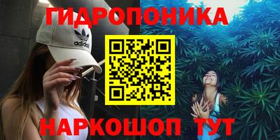 прущие грибы Кимры