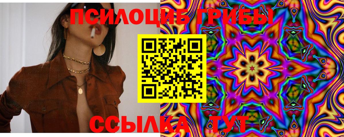 Тольятти  Псилоцибиновые грибы MAGIC MUSHROOMS  Вход с VPN 