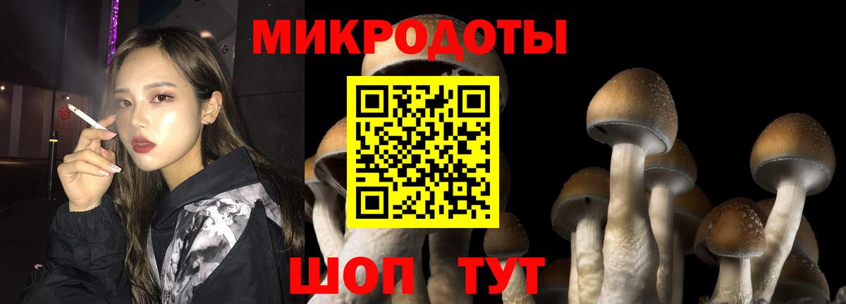 Галлюциногенные грибы прущие грибы Тольятти